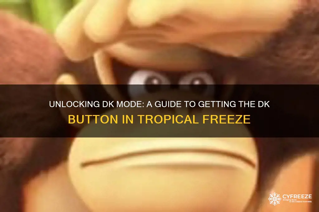 how to get dk button on tropical freeze