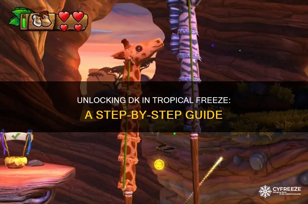 how to get dk in tropical freeze