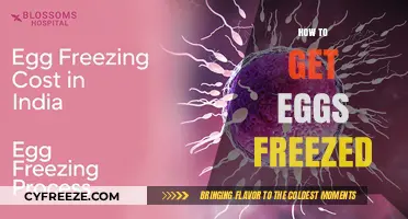 Egg Freezing Guide: Steps to Preserve Fertility for Future Family Planning