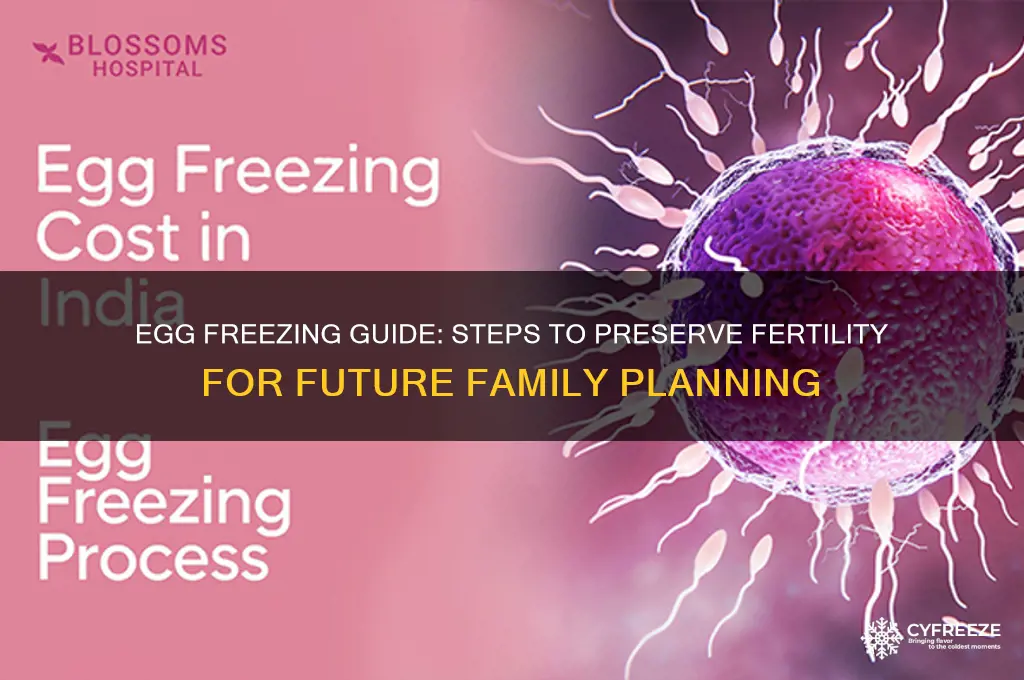 how to get eggs freezed