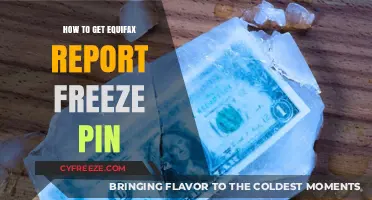 Secure Your Credit: Steps to Obtain Your Equifax Freeze PIN