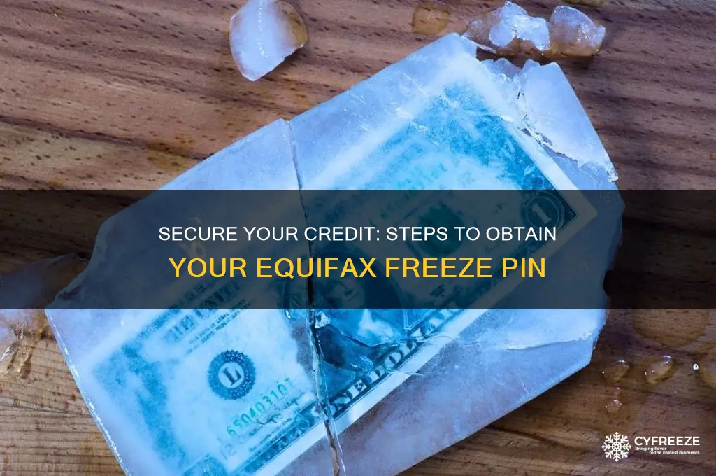 how to get equifax report freeze pin