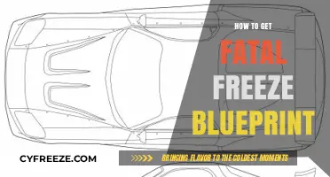 Unlocking the Fatal Freeze Blueprint: A Comprehensive Guide to Acquisition