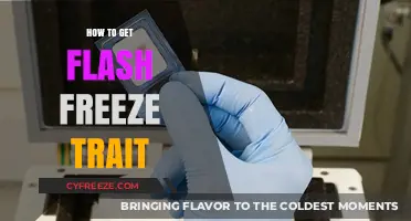 Unlocking the Flash Freeze Trait: A Comprehensive Guide for Gamers