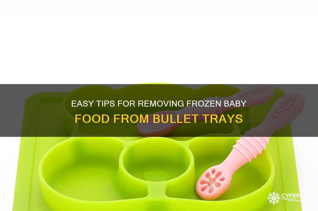 how to get food out of baby bullet freezer tray