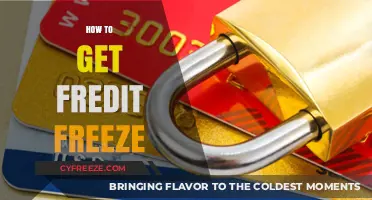 Secure Your Credit: A Step-by-Step Guide to Freezing Your Credit