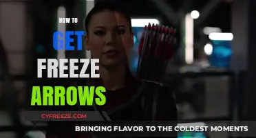 Mastering the Art of Obtaining Freeze Arrows in Your Gameplay