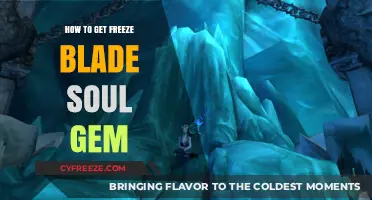 Mastering the Art of Obtaining the Frozen Blade Soul Gem