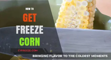 Easy Steps to Perfectly Freeze Corn for Year-Round Freshness