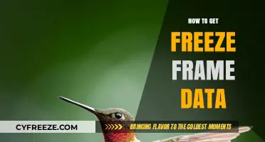 Mastering Freeze Frame Data: A Step-by-Step Guide to Retrieval