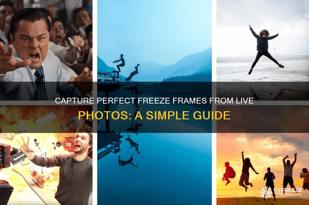 how to get freeze frame from live photo
