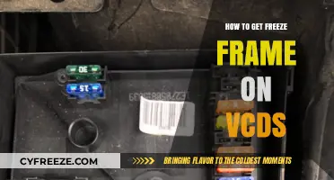 Mastering VCDS: Easy Steps to Capture Freeze Frame Data
