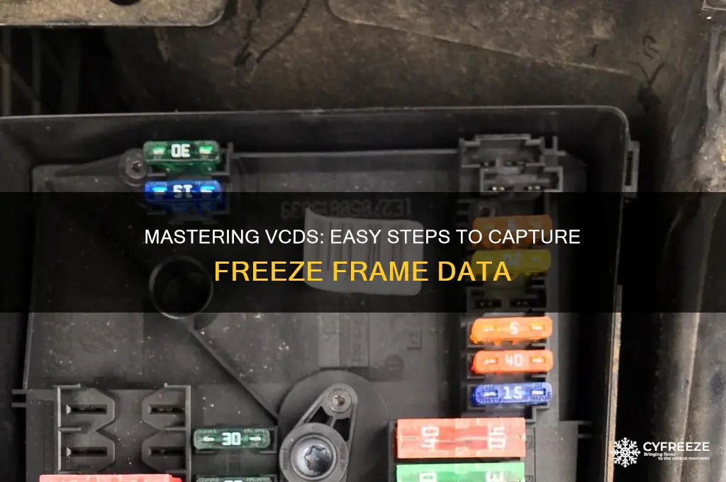 how to get freeze frame on vcds