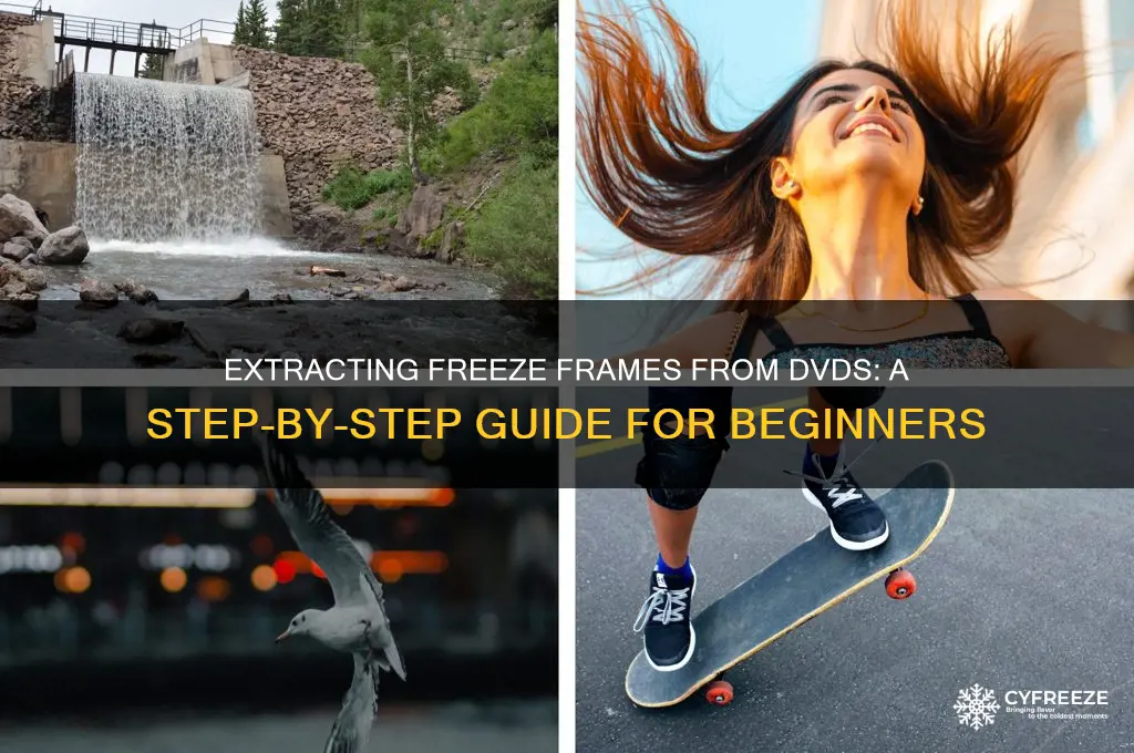 how to get freeze frames from a dvd