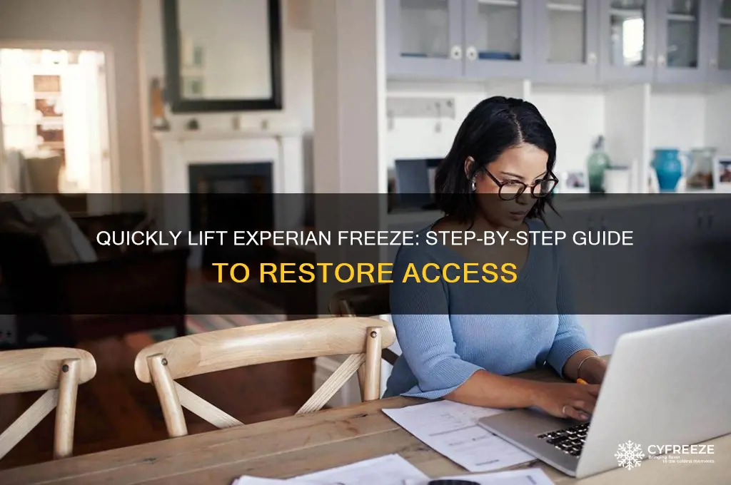 how to get freeze lifted quickly from experian