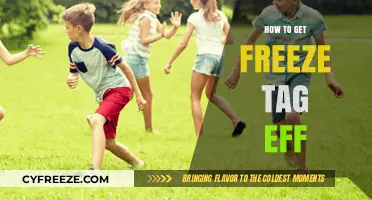 Mastering Freeze Tag Efficiency: Proven Strategies for Dominating the Game