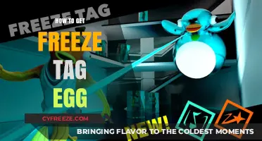 Mastering Freeze Tag: A Step-by-Step Guide to Obtaining the Egg