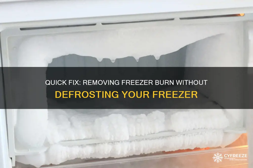 how to get freezer burn out of freezer without defrosting