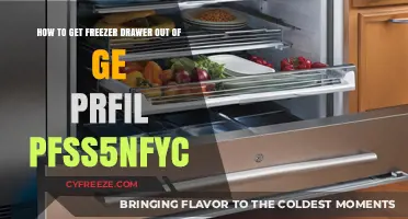 Easy Steps to Remove GE Profile Freezer Drawer PFSS5NFYC