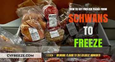 Schwans Freezer Packs: Quick Tips for Perfect Freezing Results