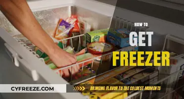 Ultimate Guide to Choosing and Buying the Perfect Freezer for You