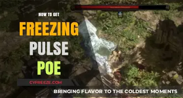 Mastering Freezing Pulse in Path of Exile: A Comprehensive Guide