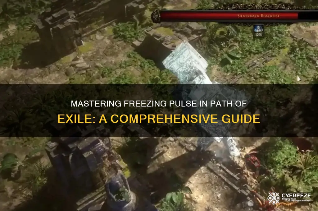 how to get freezing pulse poe