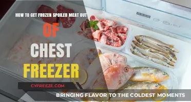 Safely Removing Spoiled Frozen Meat from Your Chest Freezer