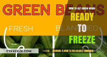 Quick Guide to Preparing and Freezing Fresh Green Beans