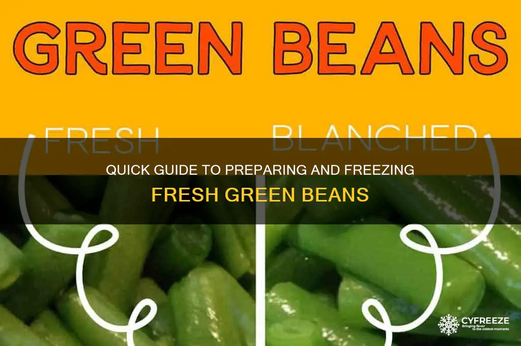 how to get green beans ready to freeze