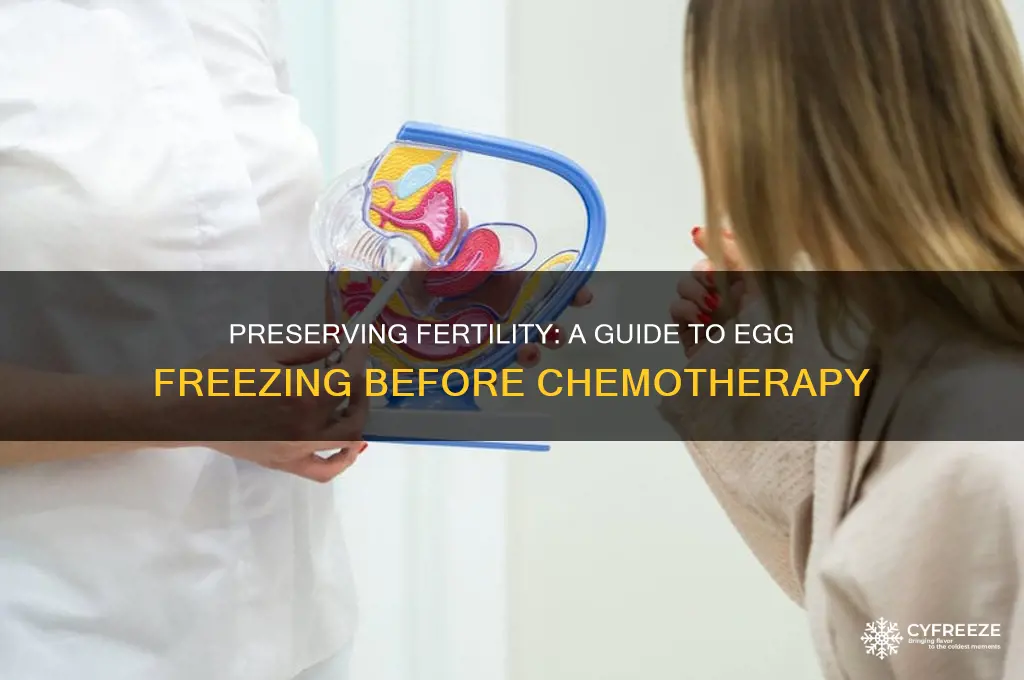 how to get help freezing women