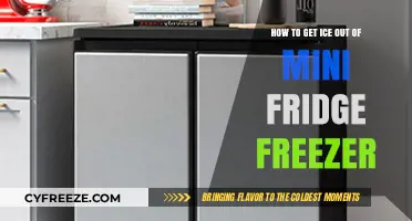 Efficiently Defrosting Your Mini Fridge Freezer: A Step-by-Step Guide