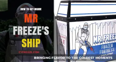 Infiltrating Mr. Freeze's Ship: A Step-by-Step Guide to Access