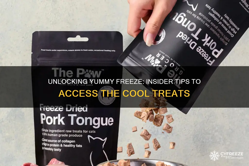 how to get inside yummy freeze