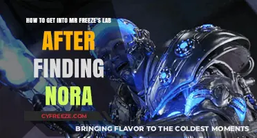 Accessing Mr. Freeze's Lab: Post-Nora Discovery Guide