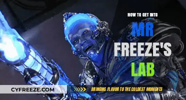 Accessing Mr. Freeze's Lab: A Step-by-Step Guide to Infiltration