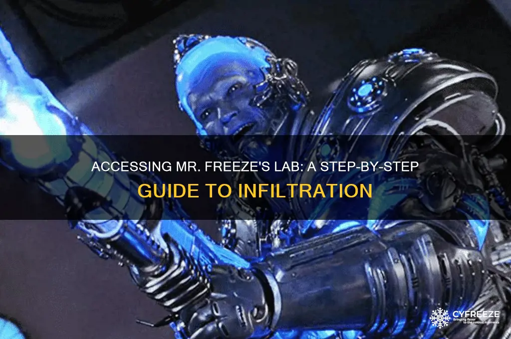 how to get into mr freeze