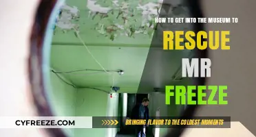 Rescuing Mr. Freeze: A Sneaky Guide to Museum Infiltration