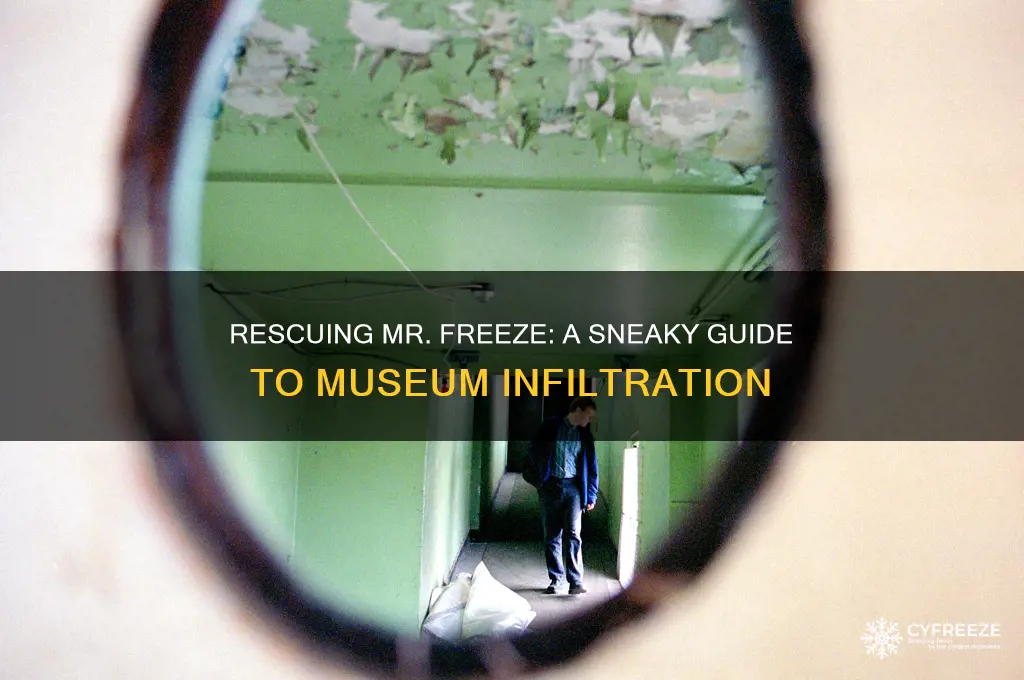 how to get into the museum to rescue mr freeze