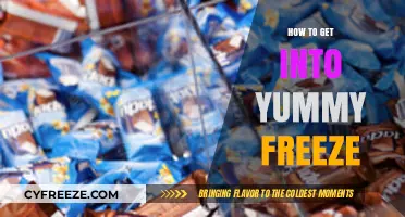 Discover the Delicious World of Yummy Freeze: A Beginner's Guide