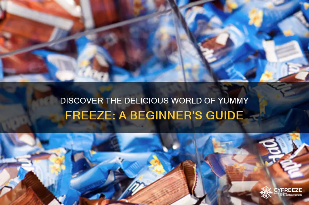 how to get into yummy freeze
