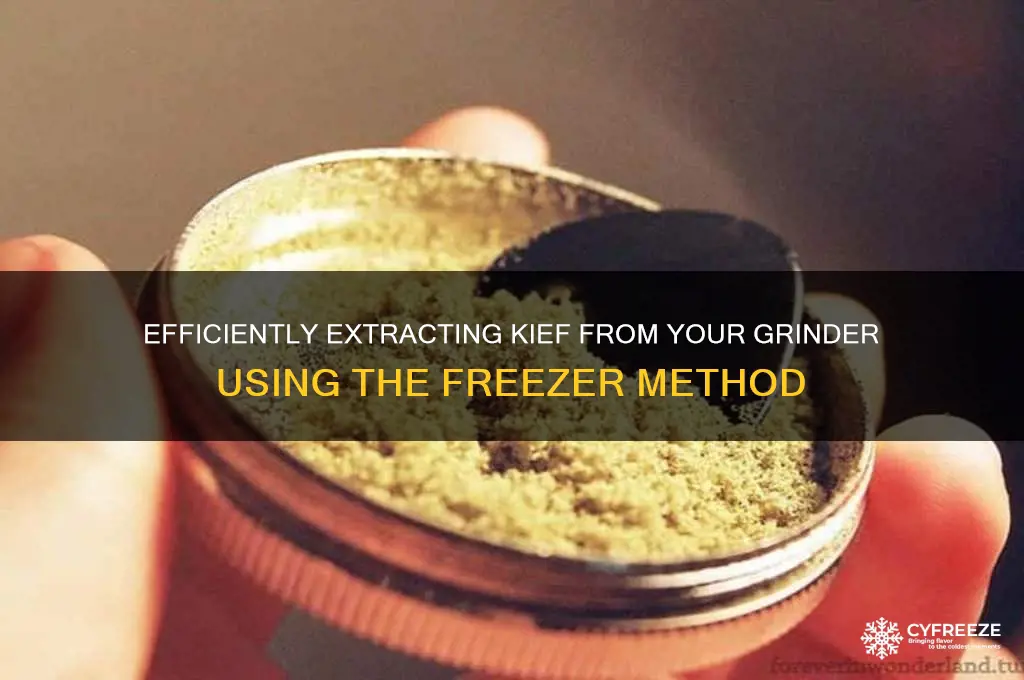 how to get kief out of a grinder freezer