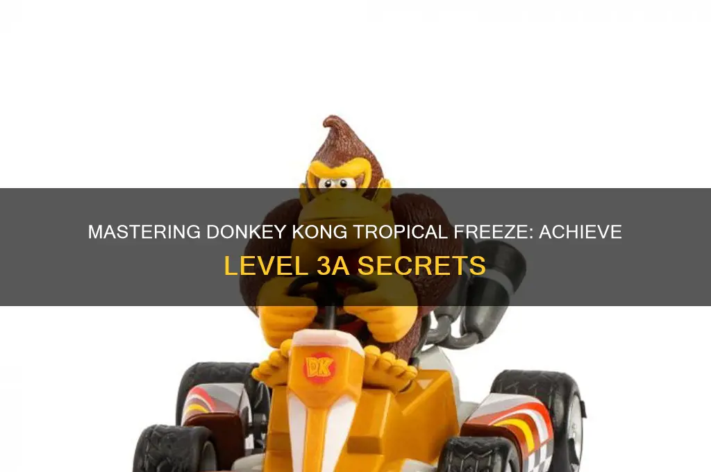 how to get levels 3a on donkey kong tropical freeze