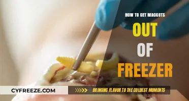 Effective Ways to Remove Maggots from Your Freezer Quickly