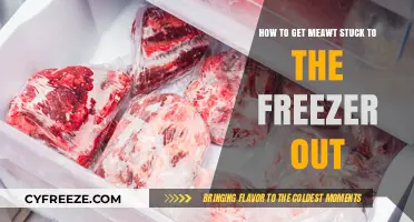 Quick Fix: Removing Meat Stuck to Your Freezer Safely and Easily
