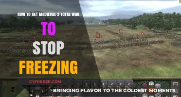 Fix Medieval 2 Total War Freezing Issues: A Comprehensive Guide