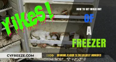 Effective Ways to Remove Mold from Your Freezer Safely