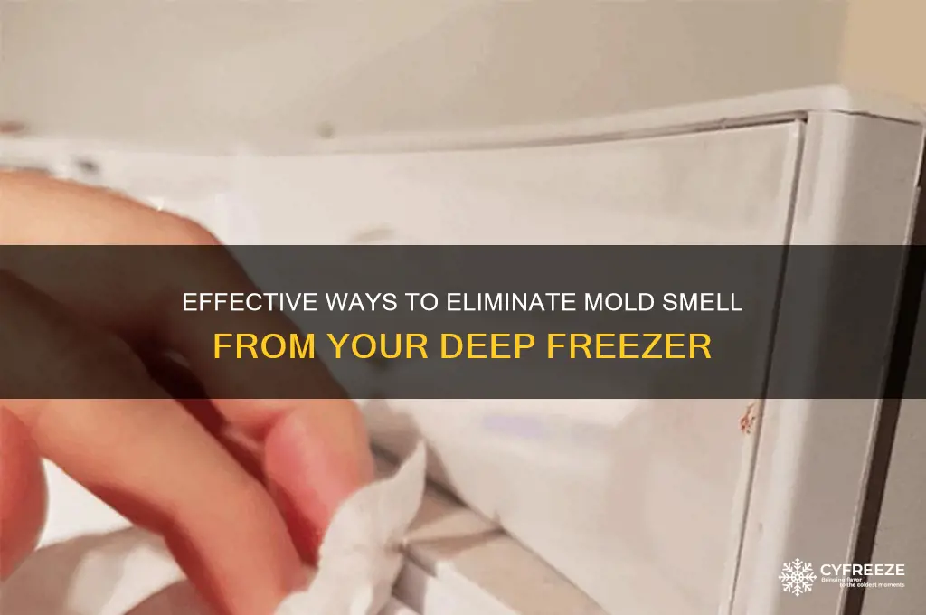 how to get mold smell out of deep freezer