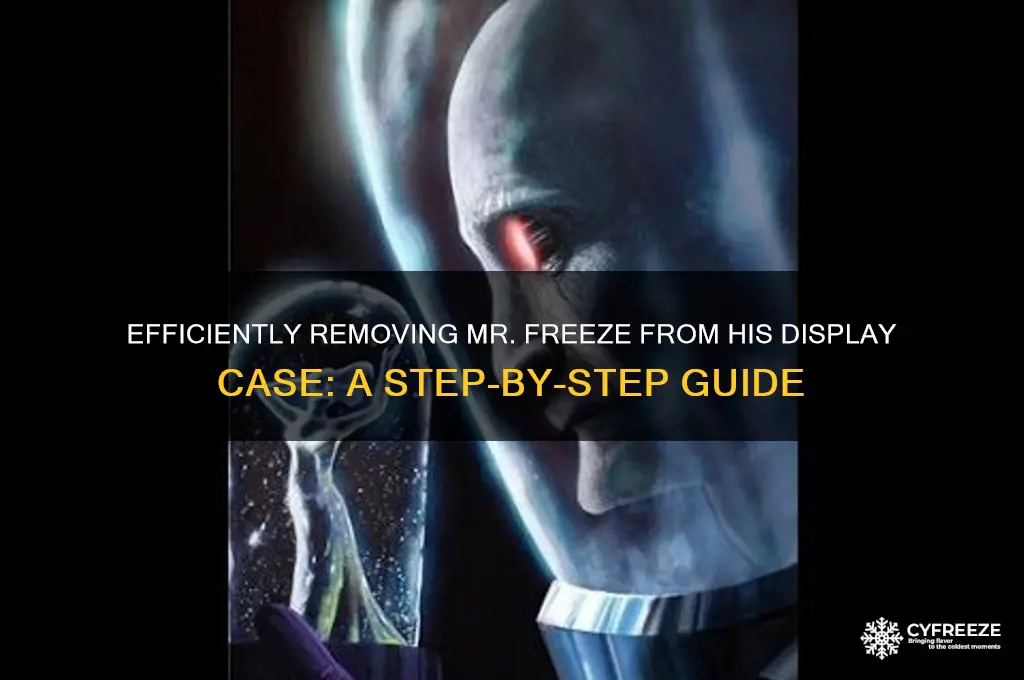 how to get mr freeze out of the case