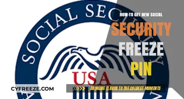 Secure Your Identity: Steps to Obtain a New Social Security Freeze PIN
